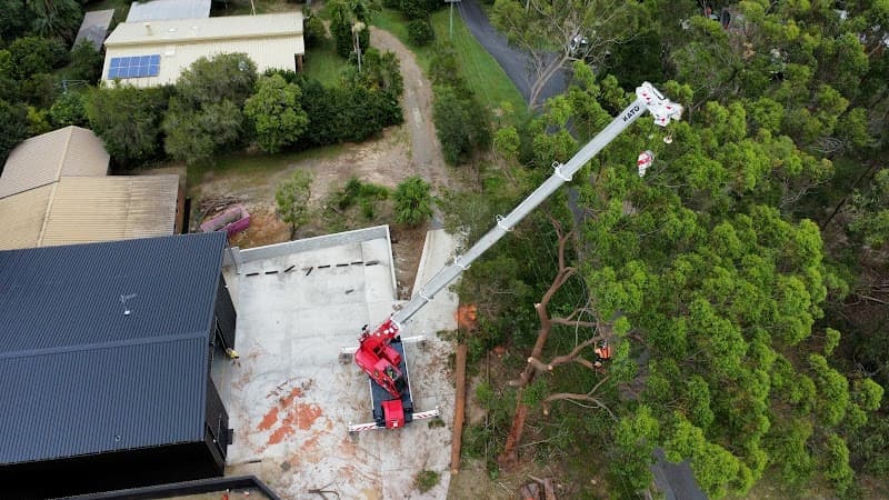 Tree Lopping Redlands tree services work in Redland Bay