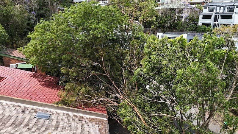 Tree Lopping Redlands tree services work in Redland Bay
