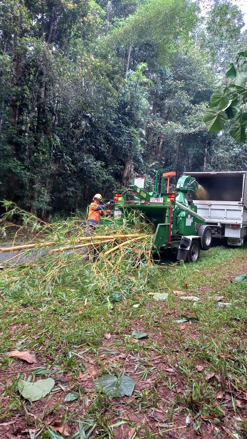 Tree Nimai tree services work in Atherton