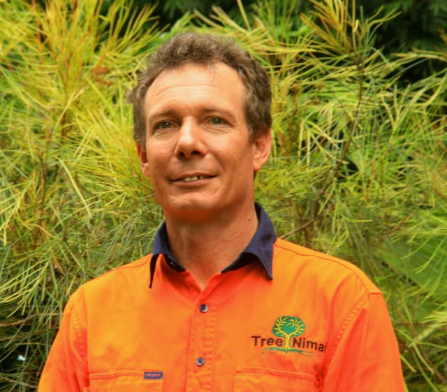 Tree Nimai tree services work in Atherton