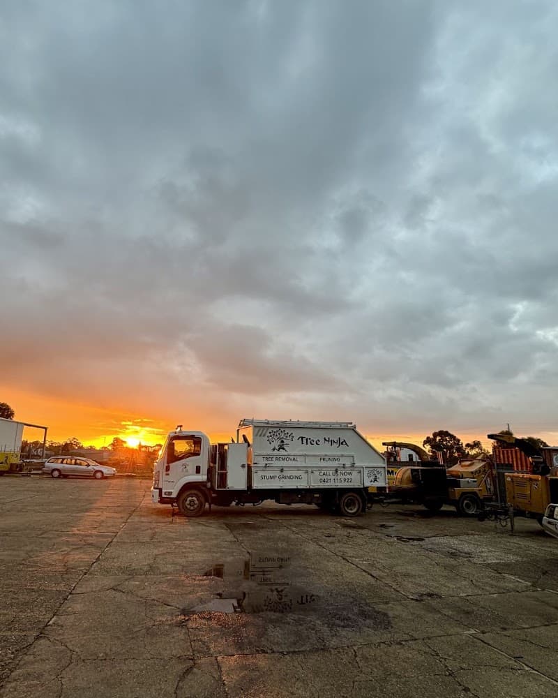 Tree Ninja tree services work in Smithfield
