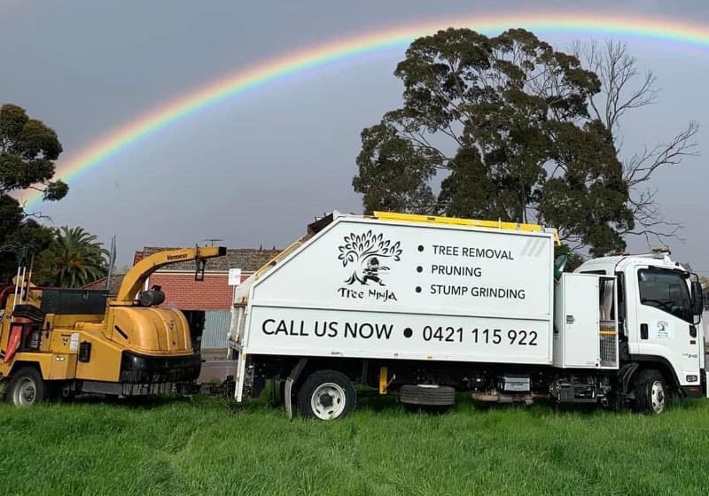 Tree Ninja tree services work in Smithfield