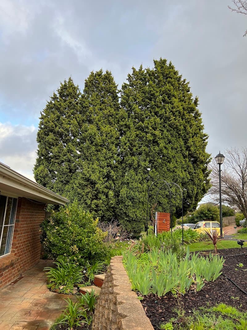 Tree Ninja tree services work in Smithfield