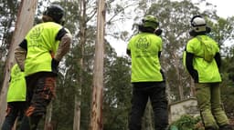 Tree Range Arborists Pty Ltd