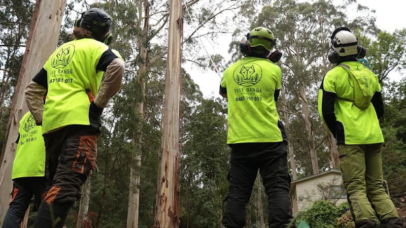 Tree Range Arborists Pty Ltd tree services work in Emerald