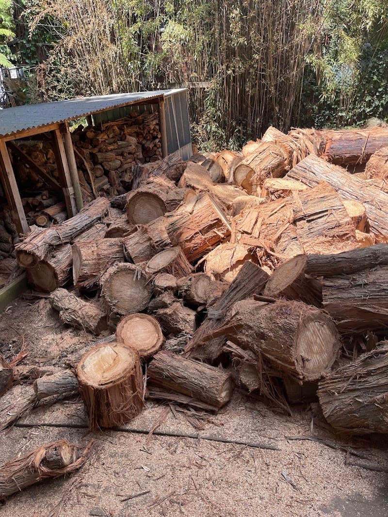 Tree Range Arborists Pty Ltd tree services work in Emerald