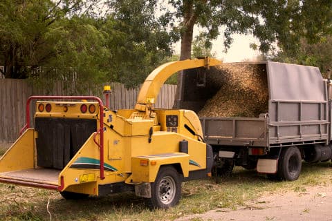 Tree Removal Adelaide tree services work in Hindmarsh