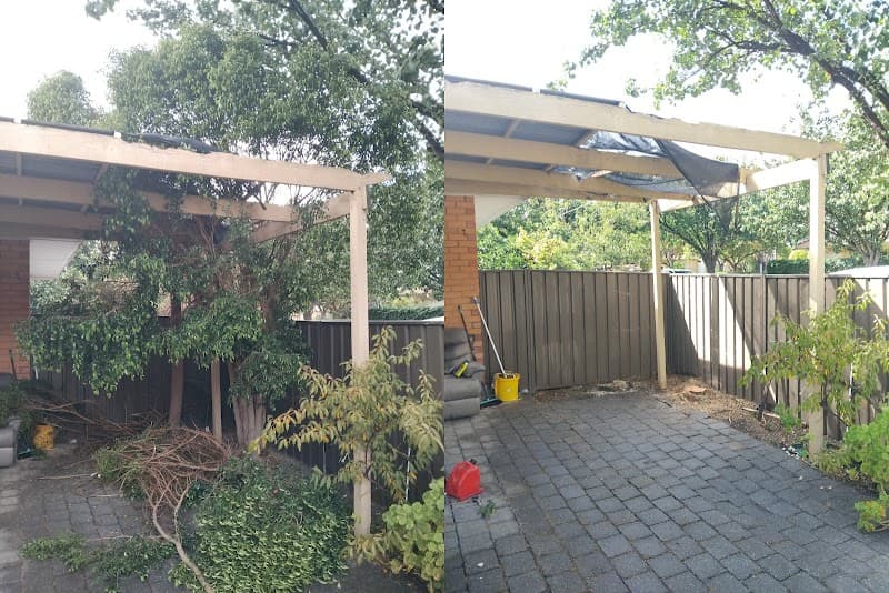 Tree Removal Adelaide tree services work in Hindmarsh