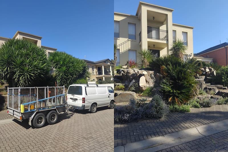 Tree Removal Adelaide tree services work in Hindmarsh