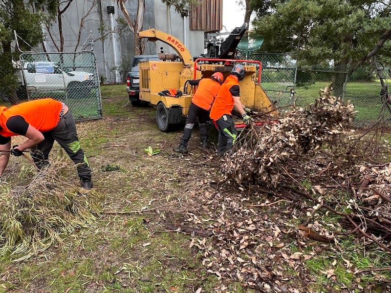 Tree Removal Service Mt Eliza tree services work in Mount Eliza