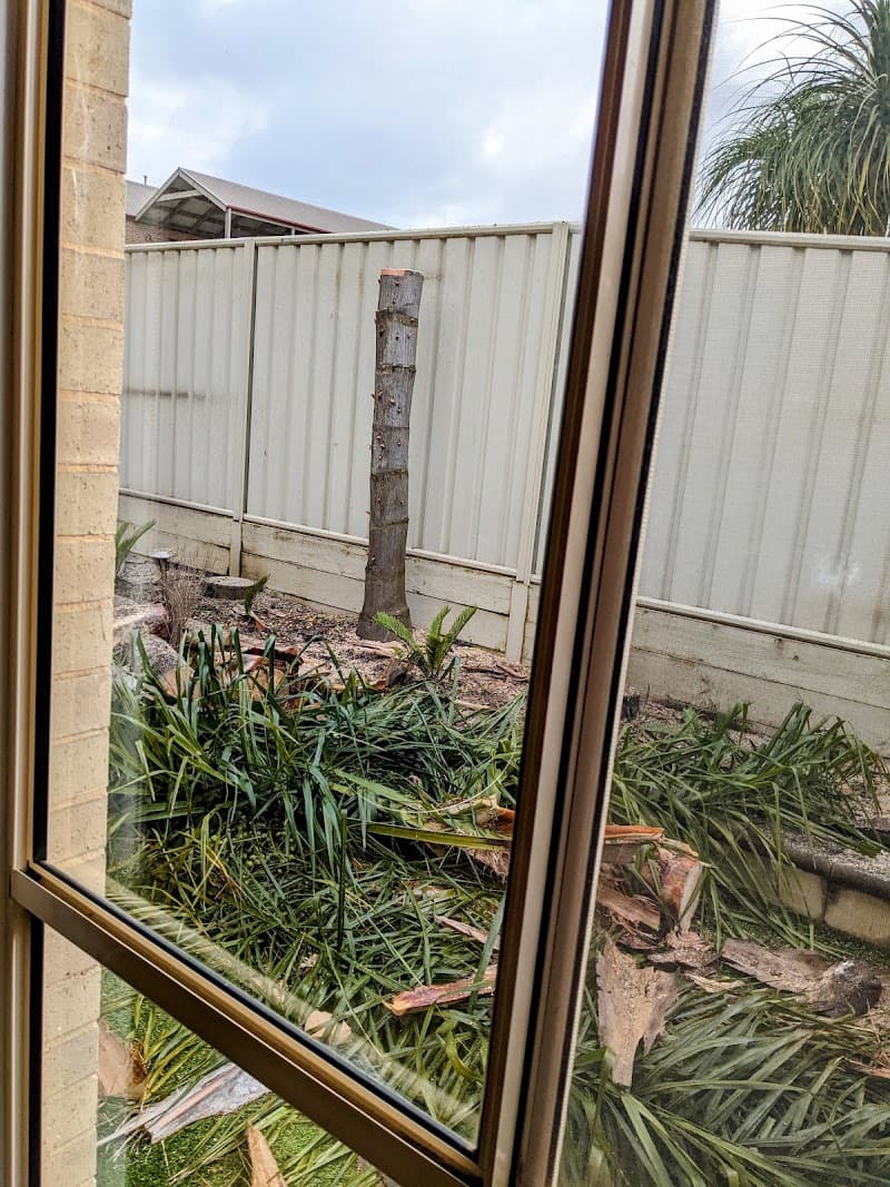 Tree Techniques Qualified Arborist & Tree Care - Wodonga Tree Removal tree services work in Wodonga