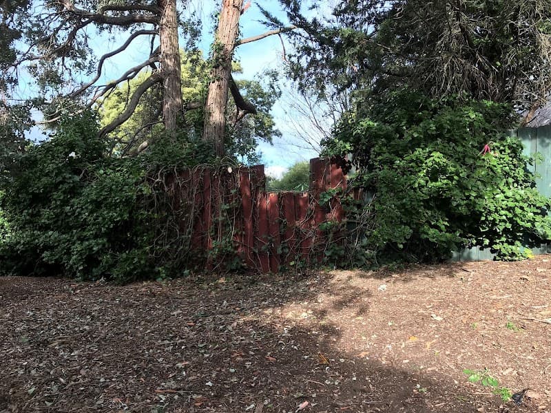 Tree-Wise Men Tasmania tree services work in South Launceston