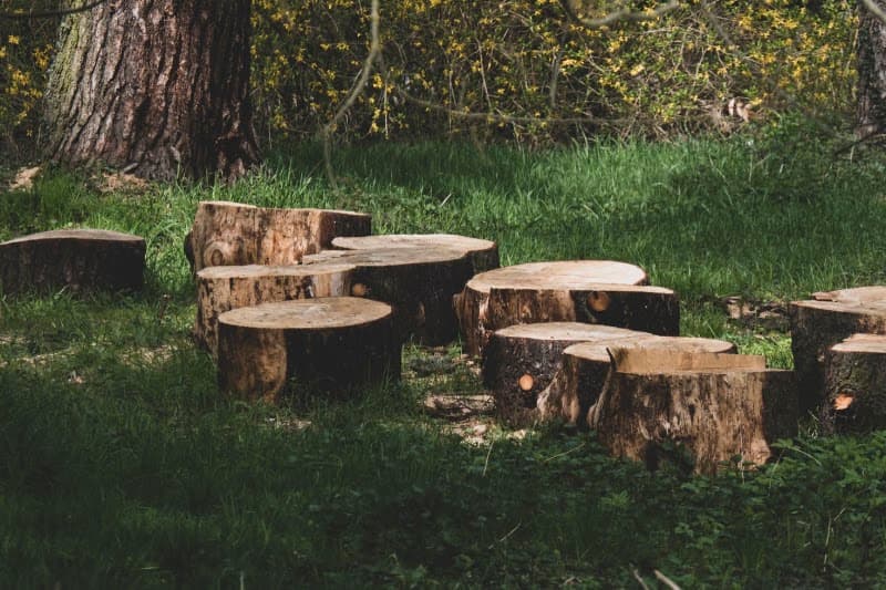 Tree X QLD tree services work in Aitkenvale