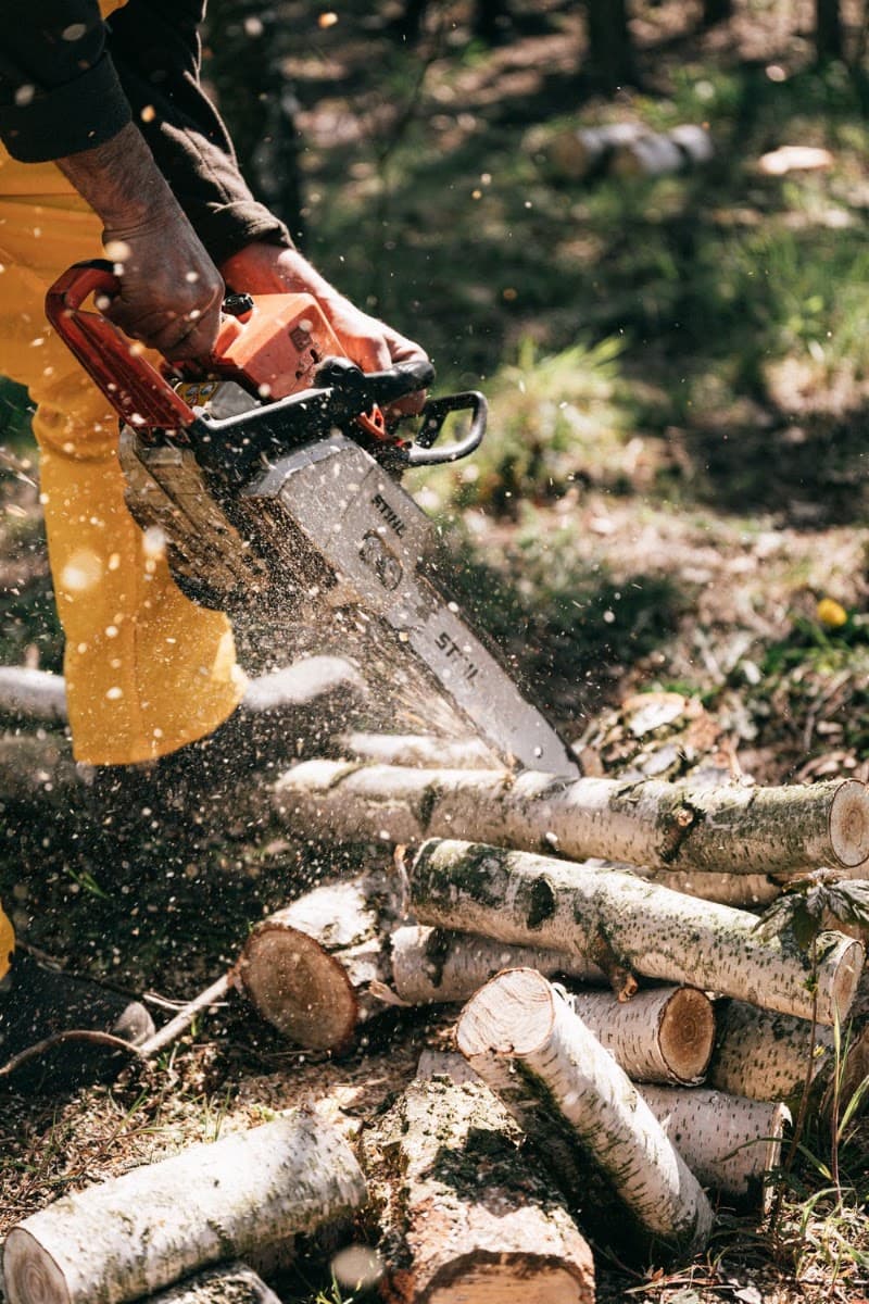 Tree X QLD tree services work in Aitkenvale