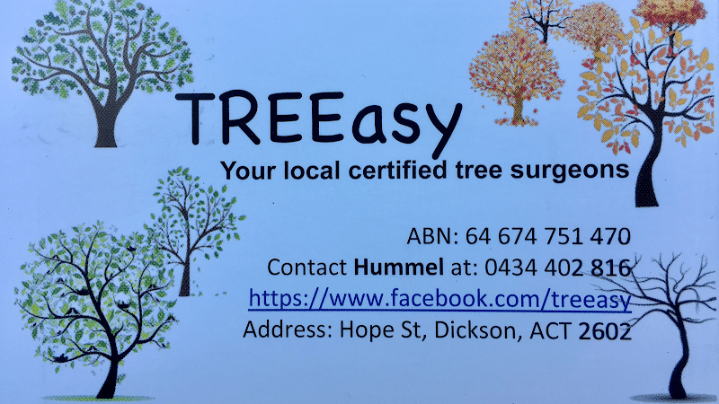 TREEasy tree services work in Dickson