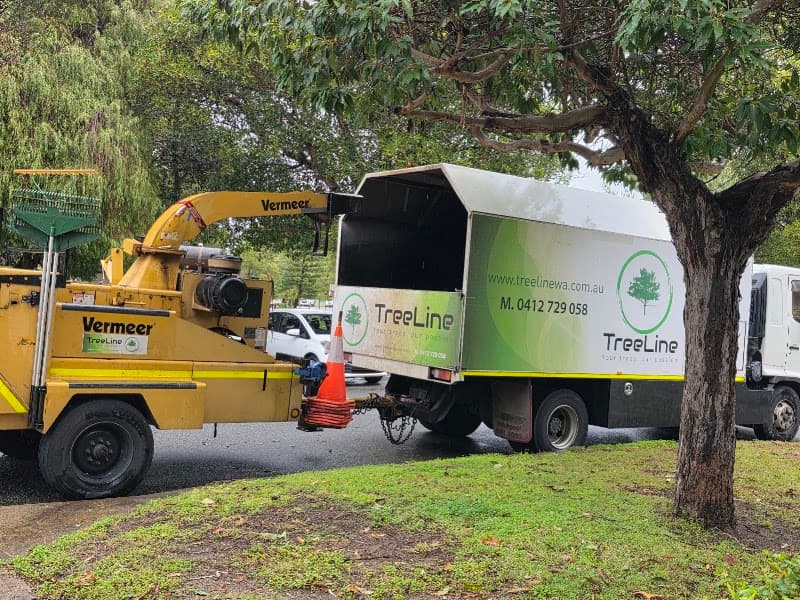 TreeLine tree services work in Scarborough