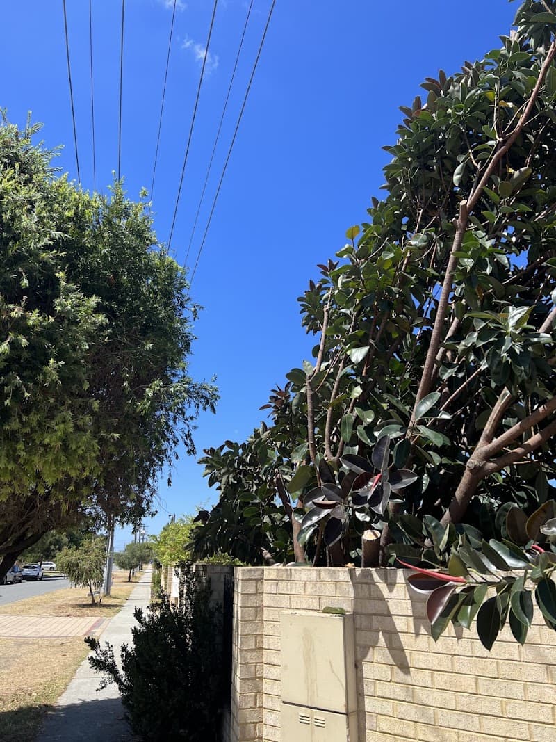 TreeLine tree services work in Scarborough