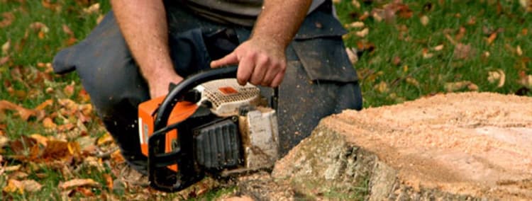 Treeman Melbourne tree services work in Somerville