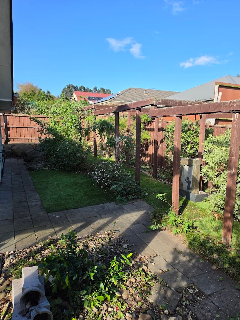 Treeman Melbourne tree services work in Somerville