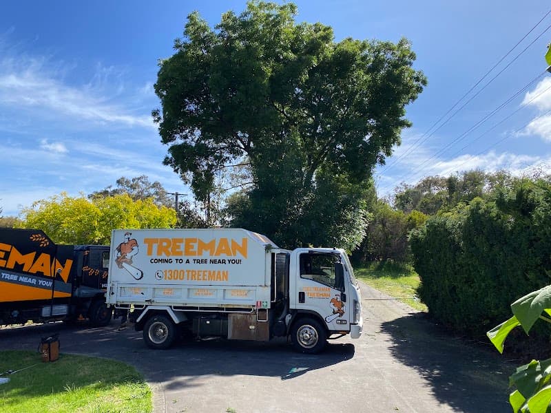 Treeman Melbourne tree services work in Somerville