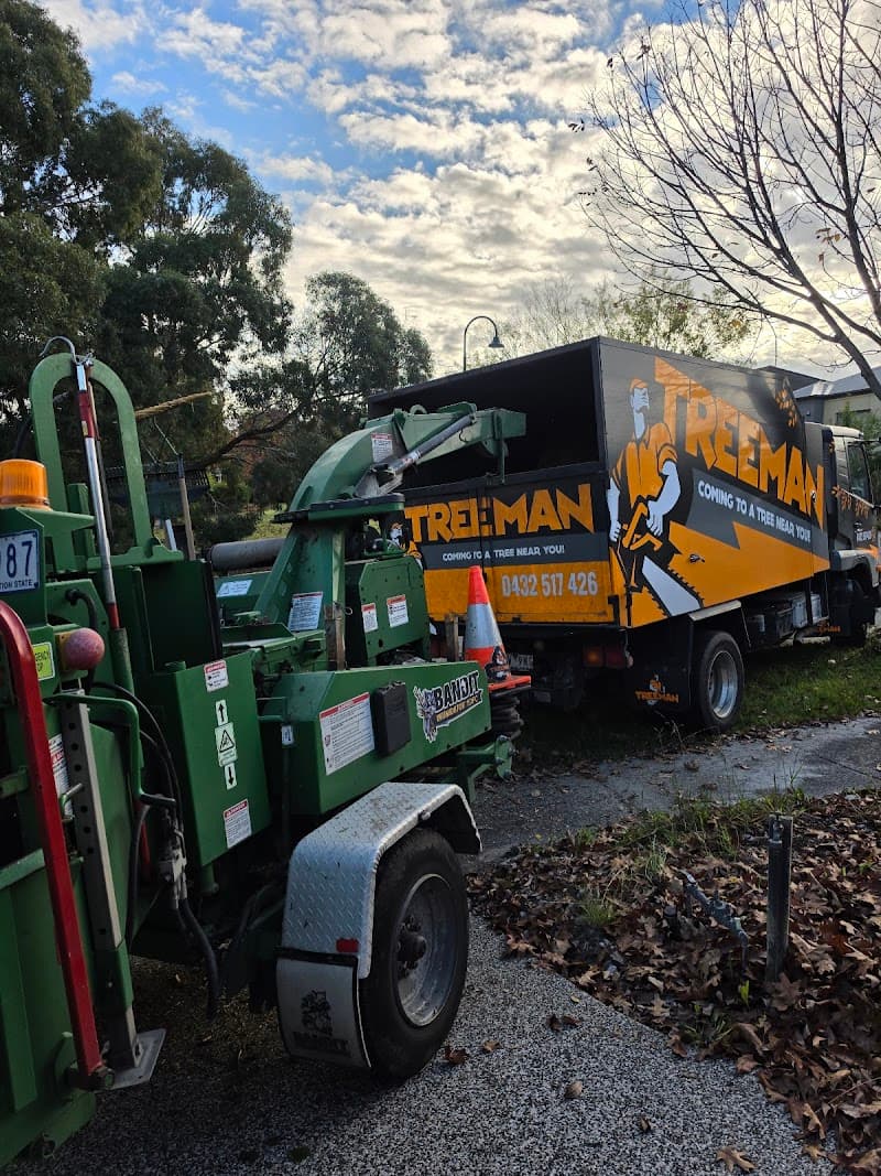 Treeman Melbourne tree services work in Somerville