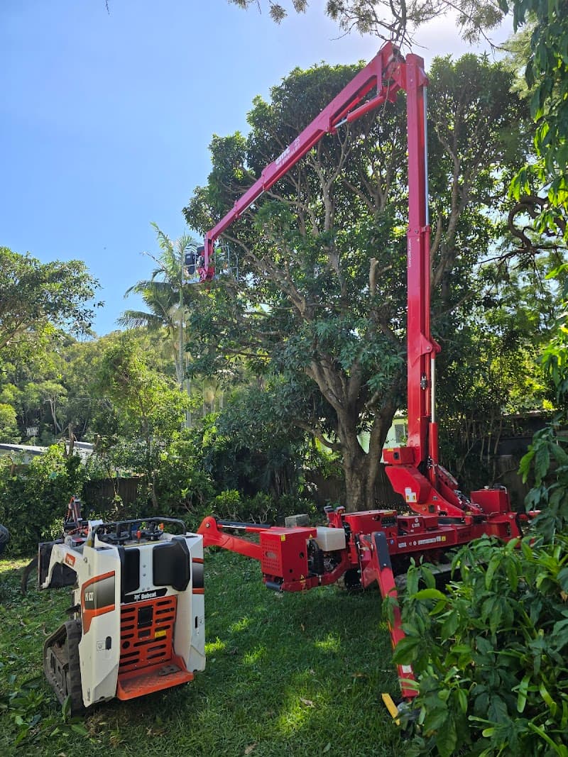 Trees and Landscape Creations landscaping work in Merrimac