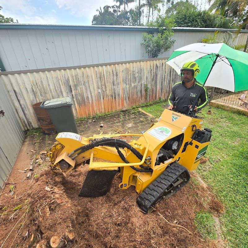 Trees and Landscape Creations landscaping work in Merrimac