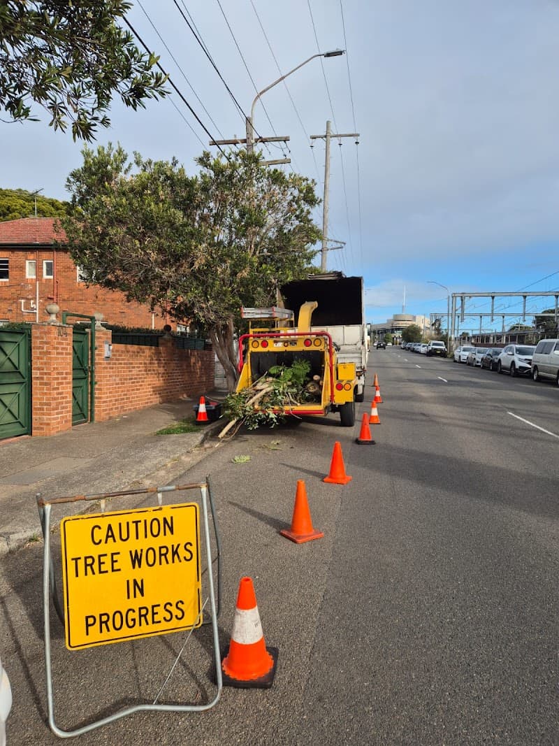 Trees Company tree services work in Marrickville