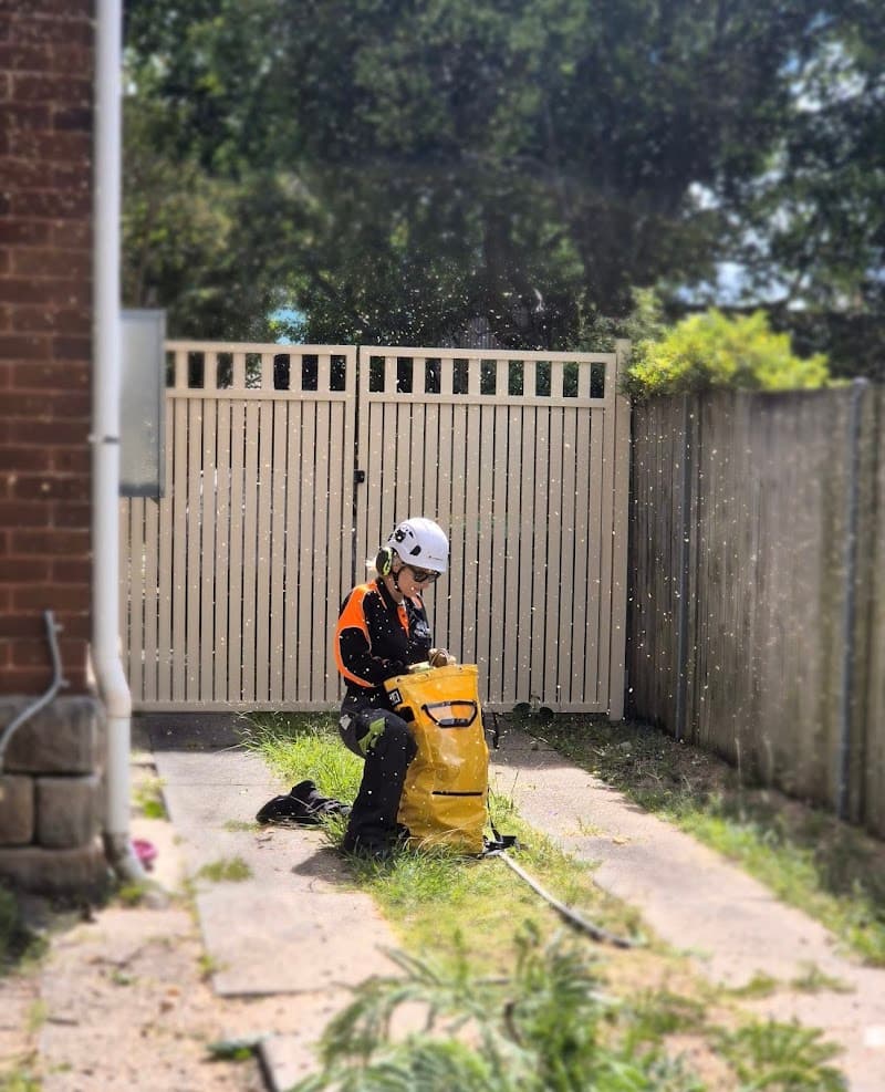 Trees Company tree services work in Marrickville