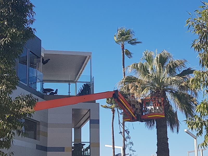 Trees Need Tree Surgeons tree services work in Success