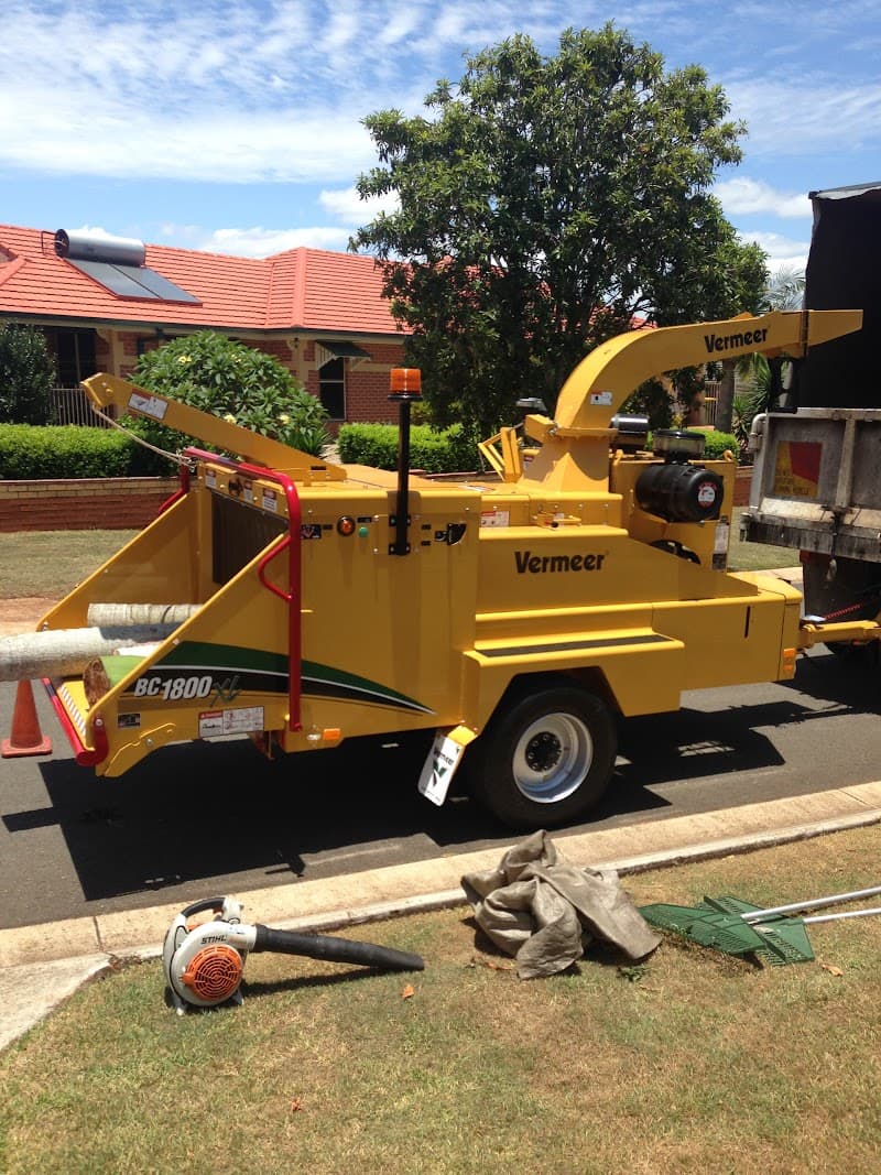 Trees Palms and Stumps tree services work in Capalaba