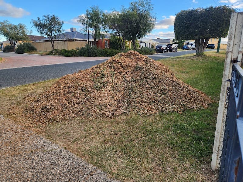 Trees WA tree services work in Churchlands