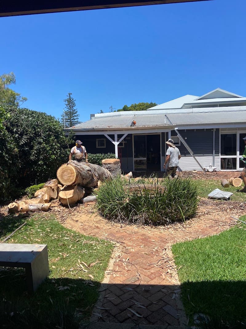 Trees WA tree services work in Churchlands
