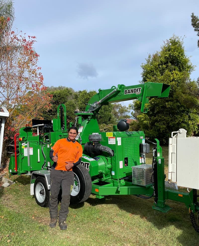 Trees With A Reason tree services work in Illawong