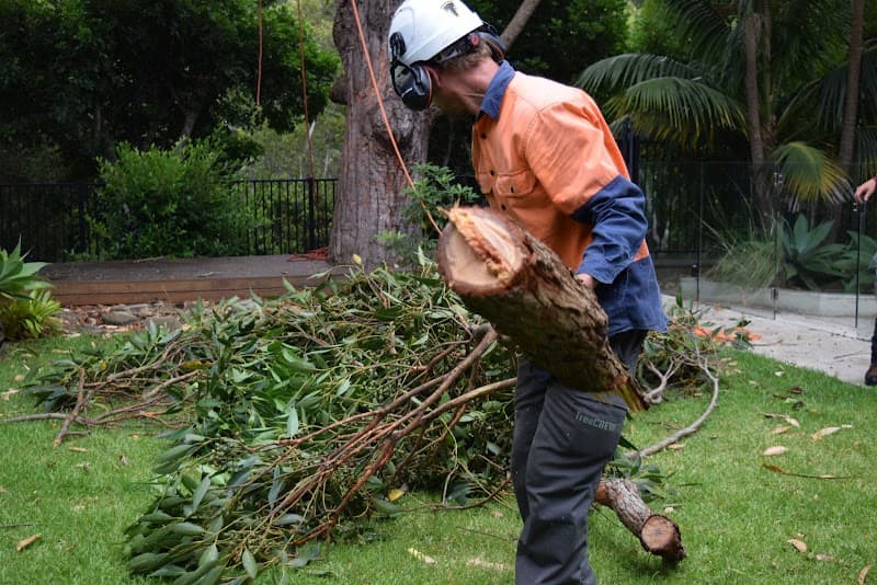 Trees With A Reason tree services work in Illawong