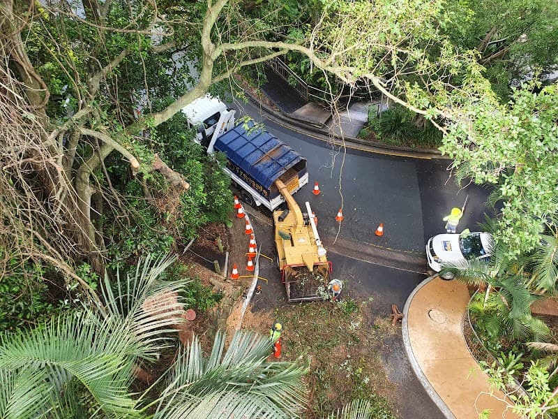 Treesafe Australia Pty Ltd tree services work in Chevallum