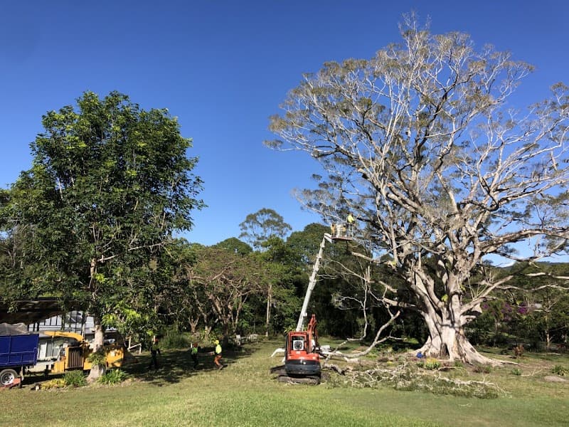 Treesafe Australia Pty Ltd tree services work in Chevallum