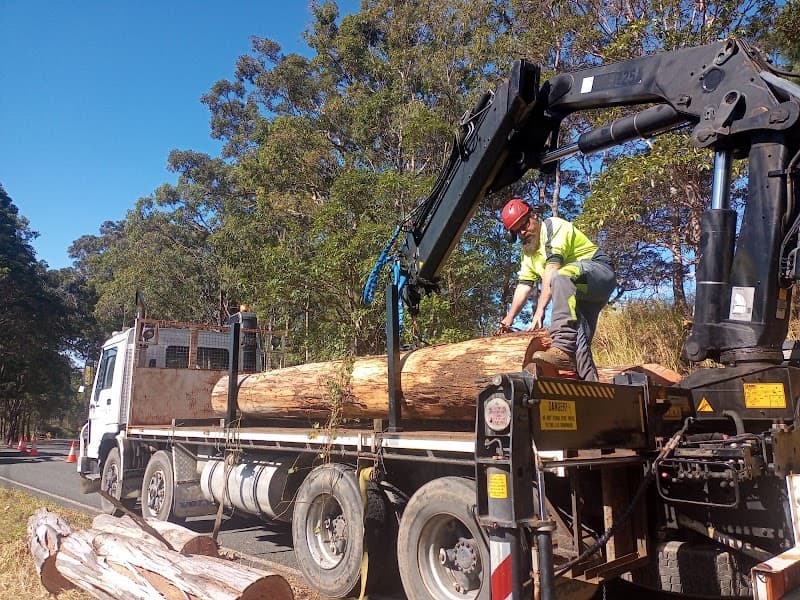 Treesafe Australia Pty Ltd tree services work in Chevallum