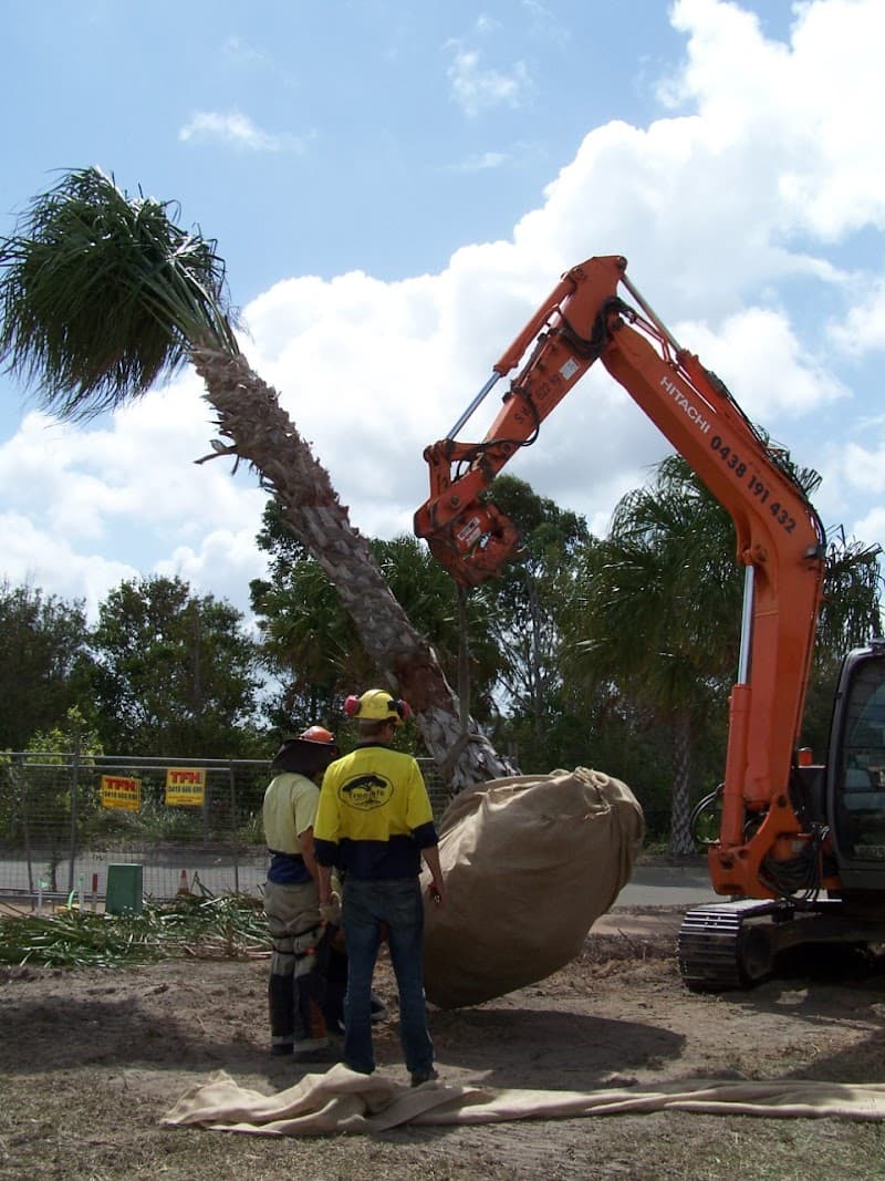 Treesafe Australia Pty Ltd tree services work in Chevallum