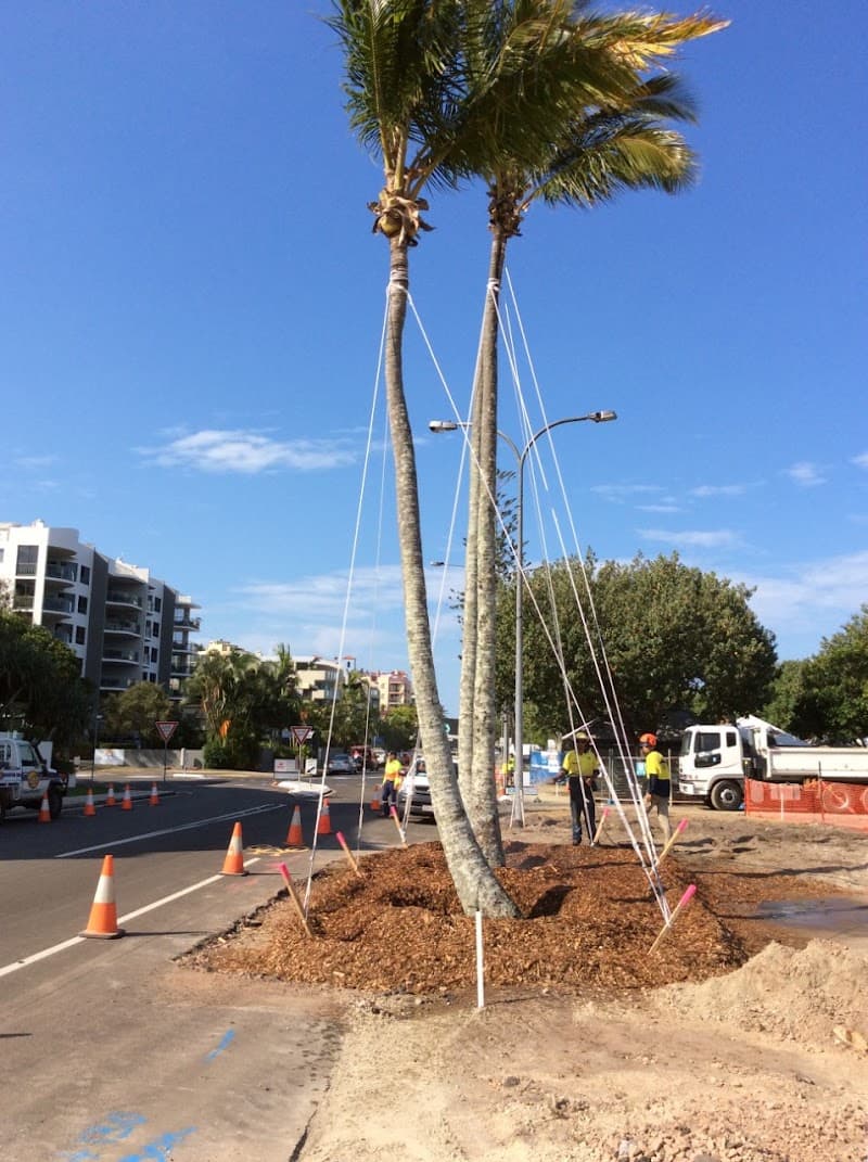 Treesafe Australia Pty Ltd tree services work in Chevallum