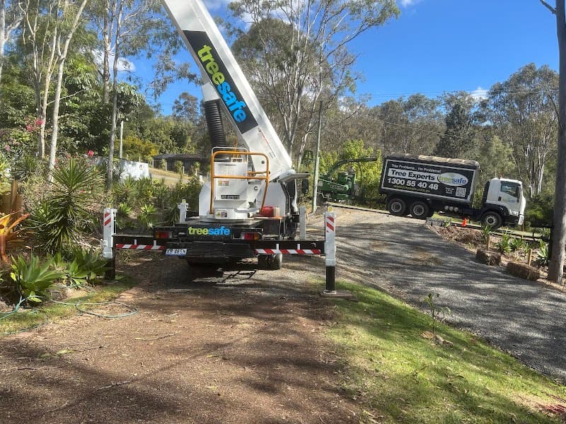 Treesafe Environmental Services tree services work in Logan Village