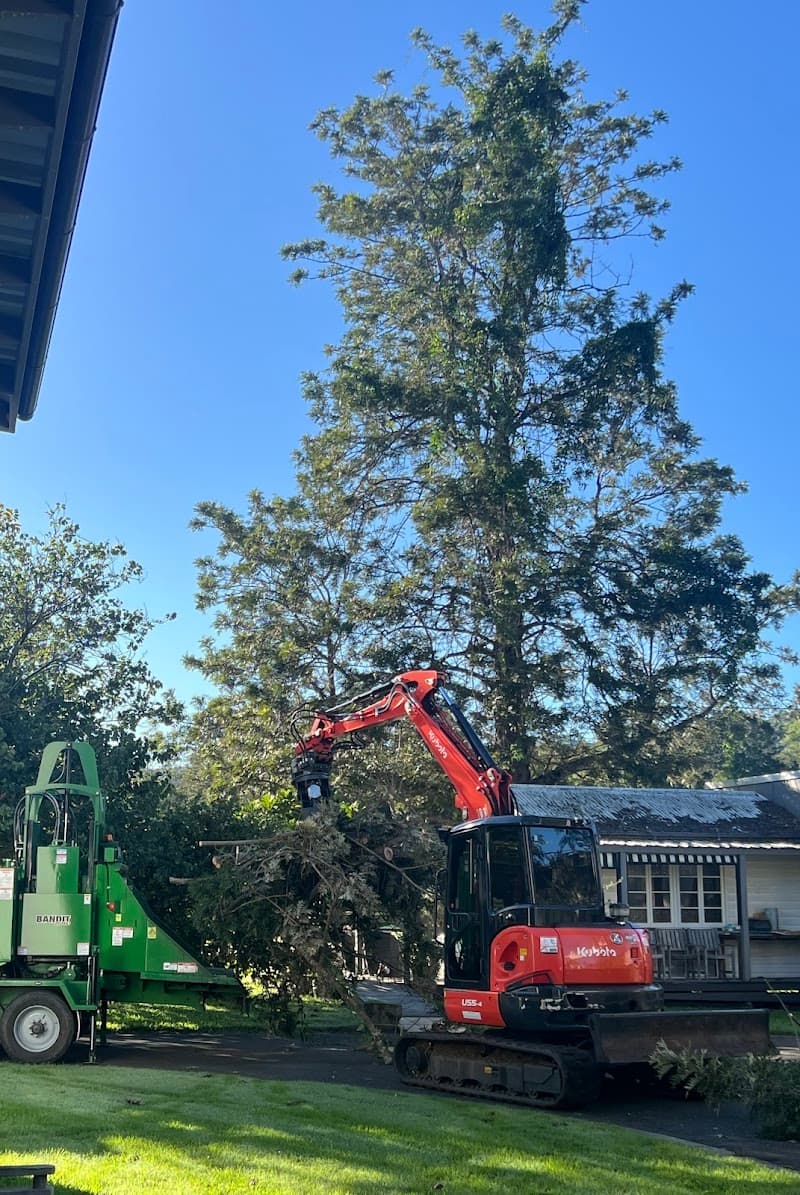 Treesafe Environmental Services tree services work in Logan Village