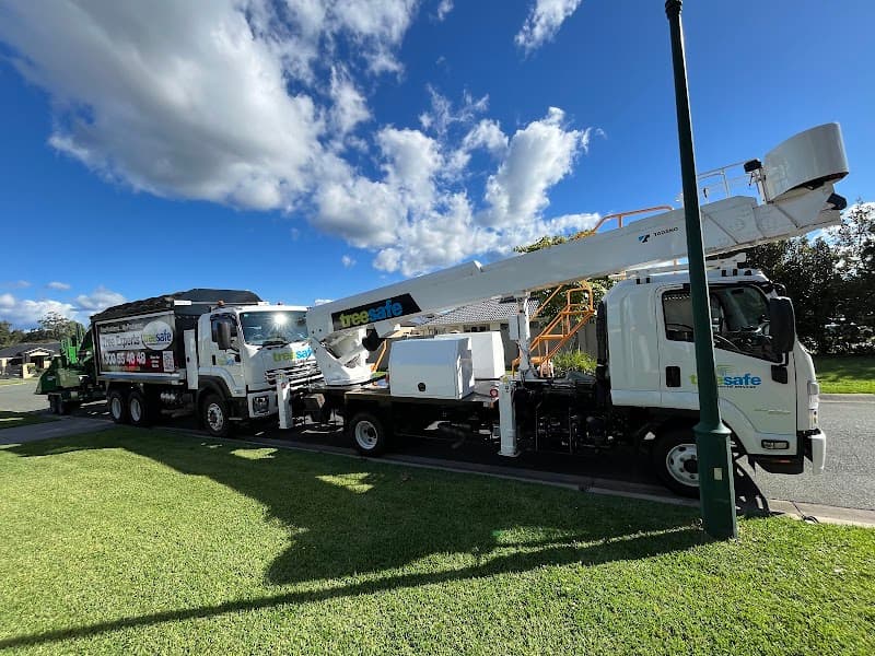 Treesafe Environmental Services tree services work in Logan Village