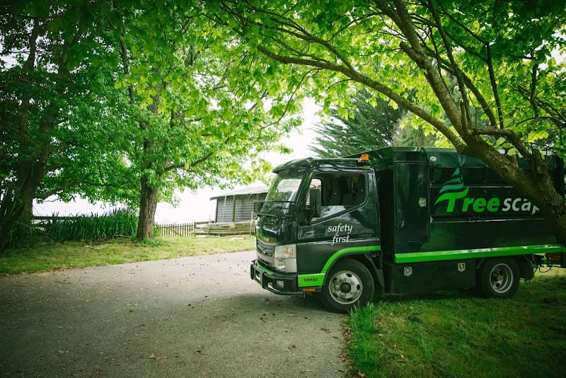 Treescape - Rockhampton tree services work in Kawana