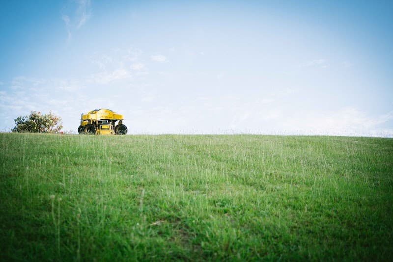 Treescape - Rockhampton tree services work in Kawana