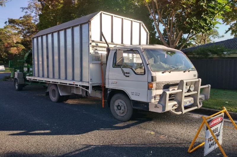 Treesmith Newcastle tree services work in Stockton
