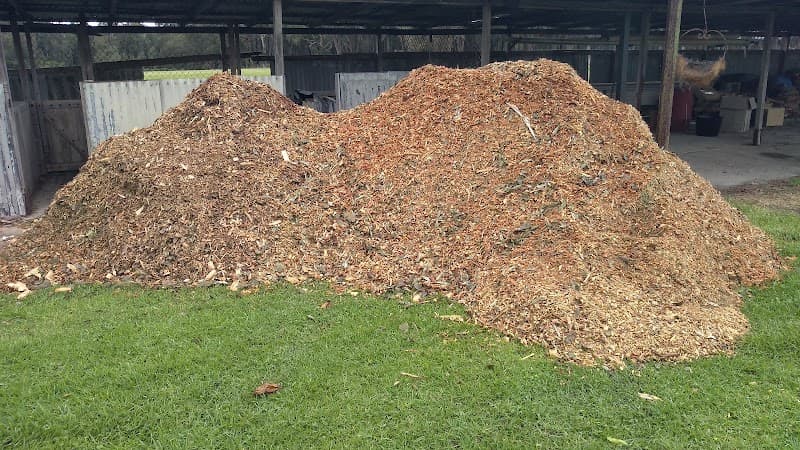 Treesmith Newcastle tree services work in Stockton
