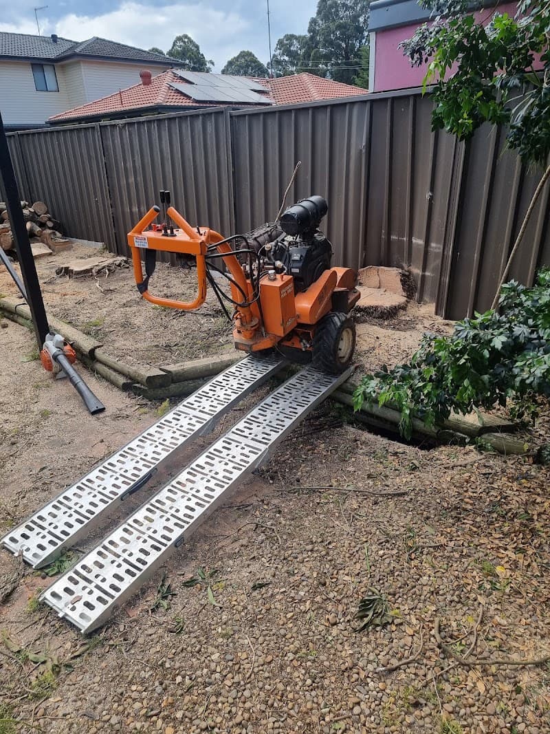 Treetech tree services and maintenance tree services work in Bidwill