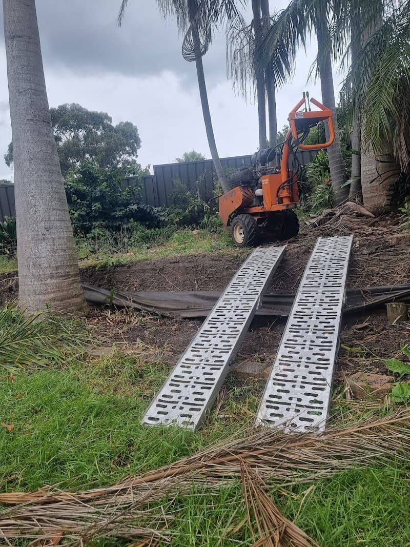 Treetech tree services and maintenance tree services work in Bidwill