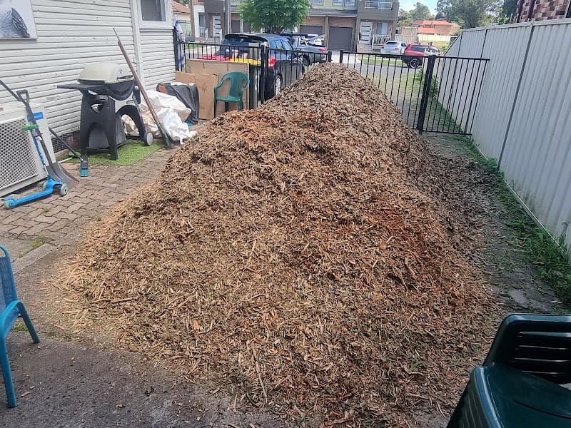 Treetech tree services and maintenance tree services work in Bidwill